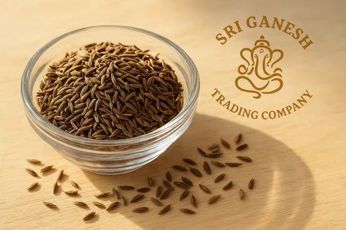Caraway Seeds Finland, Whole