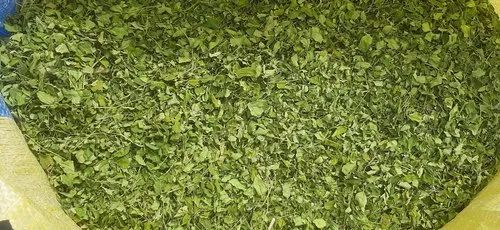Organic Curry Leaves (Kari Patta) - A Grade, Without Stem (25 kg)