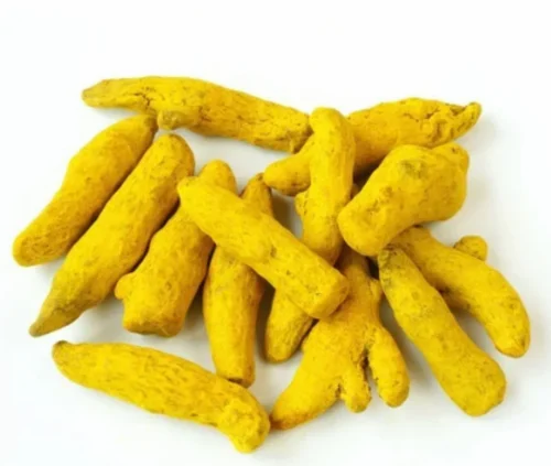 Salem 3 Inch Turmeric Roots