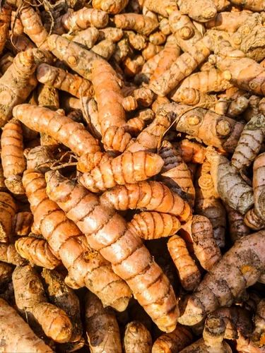 Salem Fresh Turmeric Root, Roots