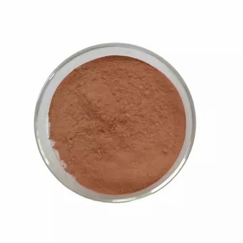 Organic Ceylon Cinnamon Powder 20 Kg by Carewell Herbs, Packaging Type: PP Bag