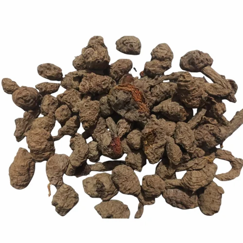 Turmeric Mother Rhizomes, Packaging Size: Loose