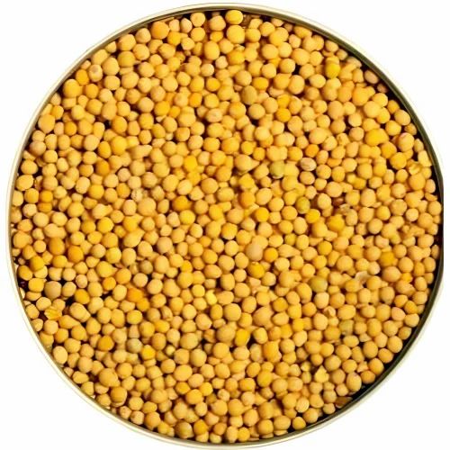Yellow Mustard Seeds, Packaging Size: 1 - 50 kg