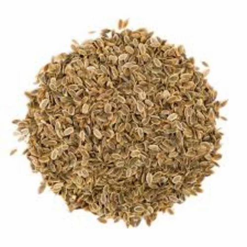 Dill Seeds, Packaging Type: PP Bag, Form: Whole