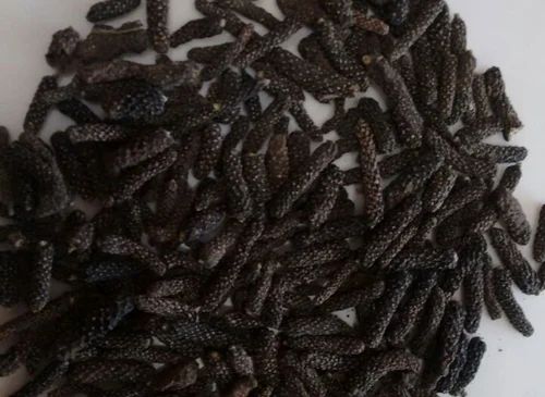 Pippali Small ., Packaging Size: 70 Kg, Packaging Type: Jute Bag