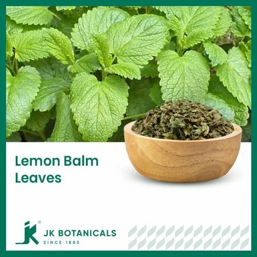 Lemon Balm Leaves / Melissa Officinalis