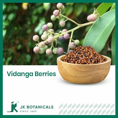 Vidanga Red Berries / Embilia Ribes / Vavding, Form: Fruit