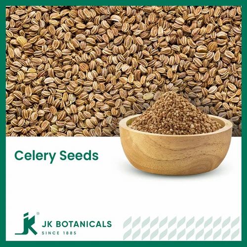 Celery Seeds / Apium Graveolens