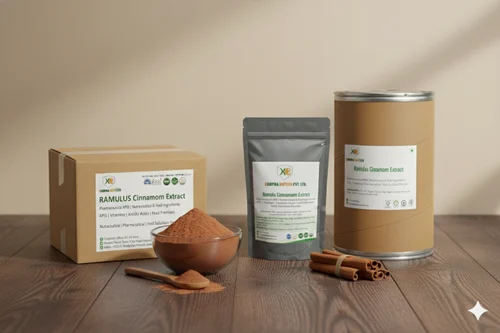 Ramulus Cinnamom Extract (Cinnamomum cassia) - Sun Dried Whole Stick, A Grade Cassia Vera (15-25cm)