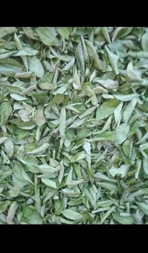 A Grade DRIED LEAF Dry Curry Leaves, Plastic Bag, Packaging Size: 50 Kg