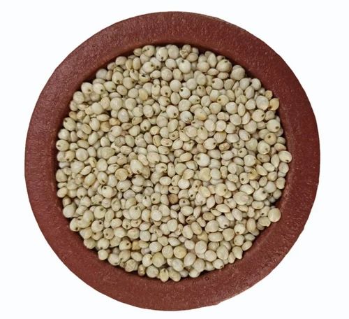 Organic White Sorghum, Conventional, Food Grade