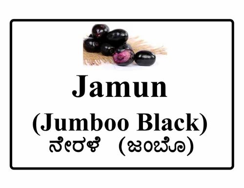 Jumboo Black Jamun