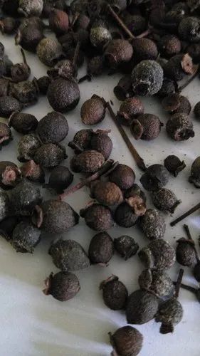 Dried Allspice Berries