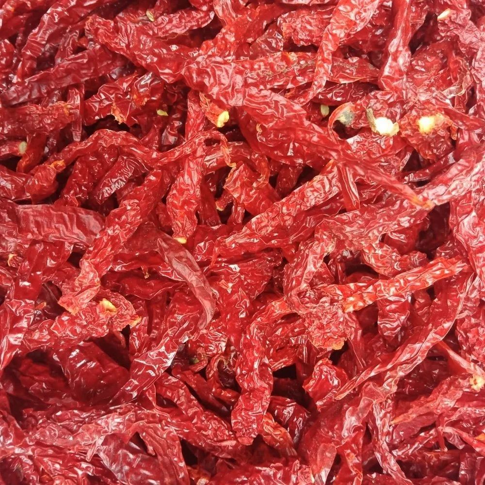 Syngenta 2043 Chilli Stemless