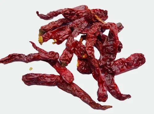Syngenta 2043 Stemless Dry Red Chilli in Jute Bag