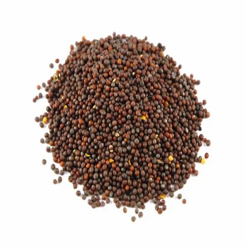 Organic Mustard Seeds, Big