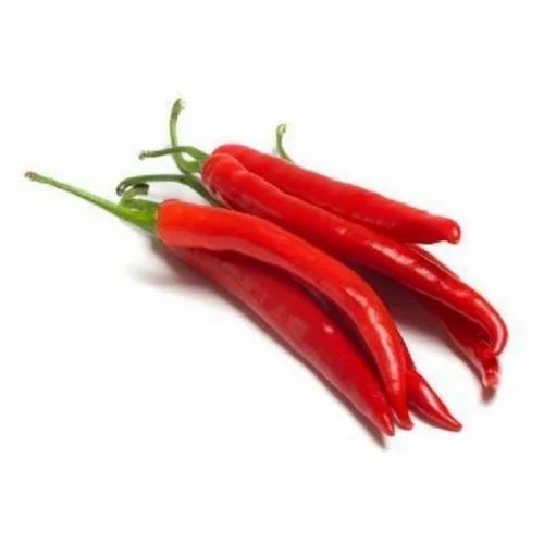 Byadgi Fresh Organic Red Chilli, Whole with Stem