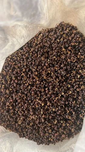 Himalayan Organic TIMUR/TOMAR /Sichuan Pepper (Zanthoxylum Armatum)