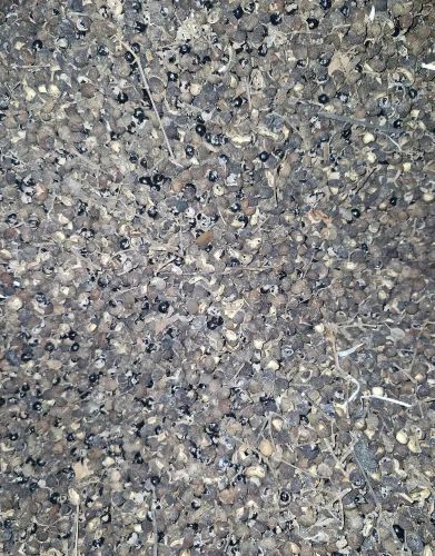Triphala Sichuan Pepper