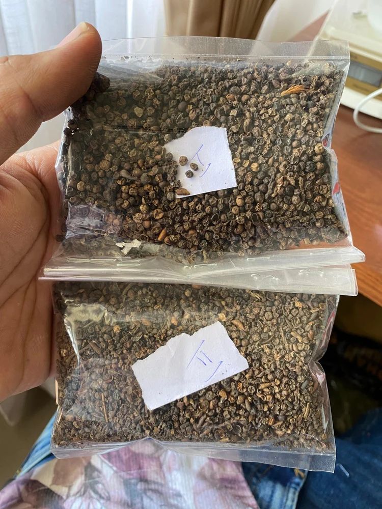 Black Pepper Husk