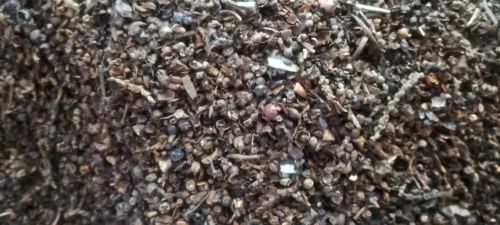 Variety: Malabar India Black Pepper Husk, 25 Kg