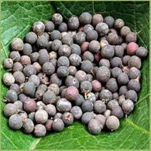 Embelia Ribes Seed Extract (Vidang)