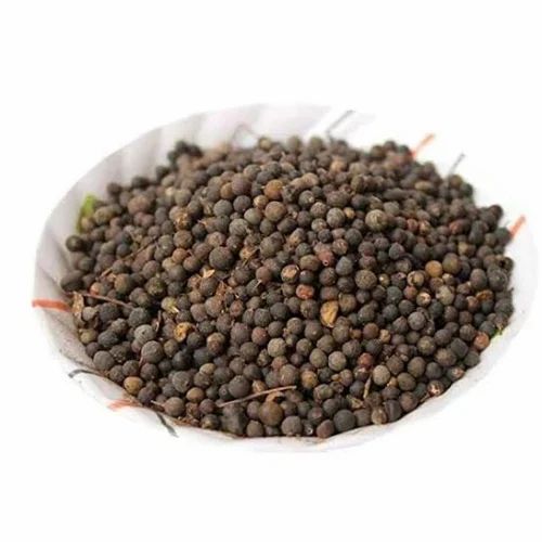 Embelia Ribes