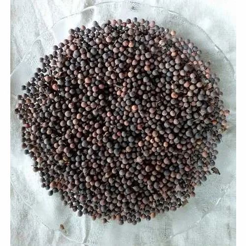Embelia Ribes Burm Baibidang, Packaging Type: Plastic & Jute Bag