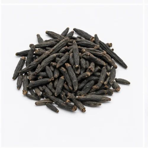 Marathi Moggu, Medium, A Grade