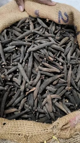 Marathi Moggu, Medium, First Quality