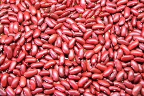 Organic Kidney Beans ( Rajma), Packaging Size: 25 Kgs