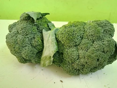 A Grade Fresh Organic Broccoli, Packaging Size: 5 Kg