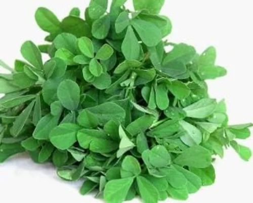 Natural Fenugreek Leaf