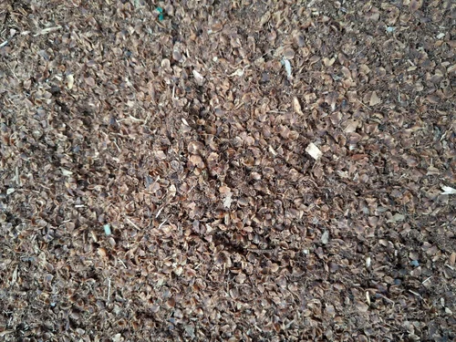 Indian Dry Clove Stem (Spent Grade)