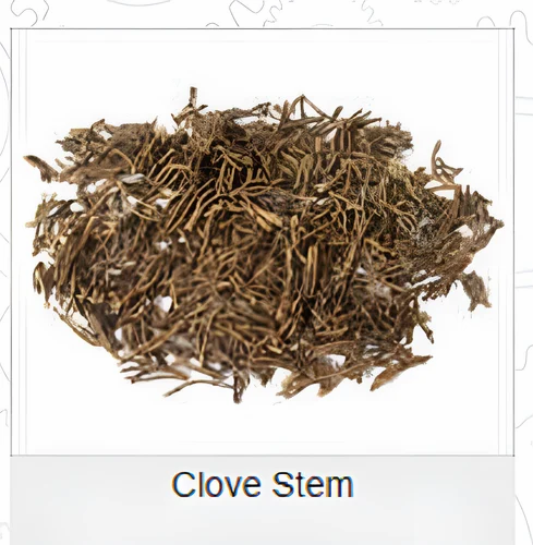 Madagascar 13mm Clove Stem, Grade: With Oil, Whole