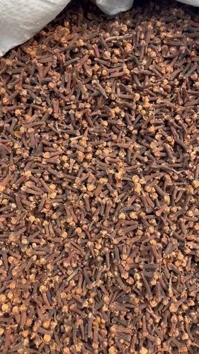 Indian Whole Clove Stem, Grade: Spent