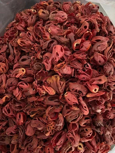 Red Nutmeg Flower
