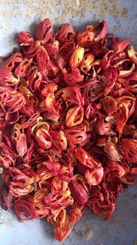 Nutmeg Flower