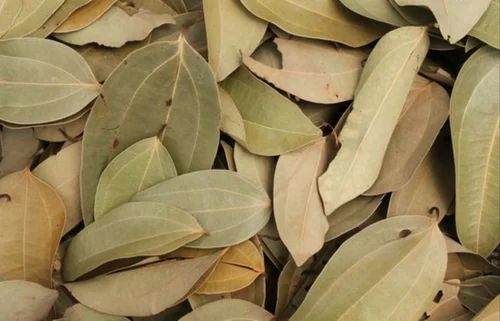 Cassia Dry Leaf