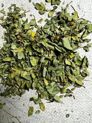 Natural Aavli Cassia Leaves