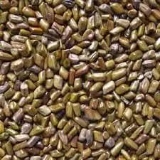 Cassia Tora Seeds Vegetable Glycerin Kasmiri Red Chilli Powder, 25 kg