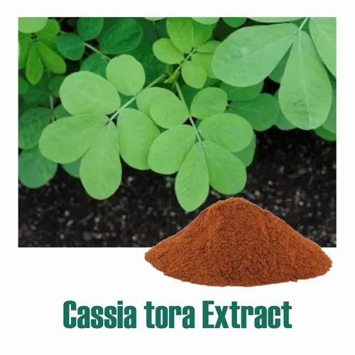 Cassia Tora Extract , Pawad Beej Extract, 25 KG
