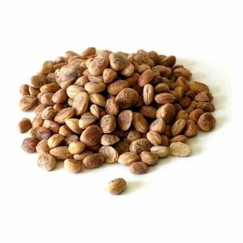 Charoli Dry Fruits