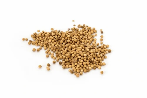 Natural Green Fresh Coriander Seeds, Packaging Type: PP Bag, 25 Kg