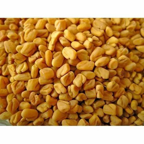 Yellow Bold Fenugreek Seeds
