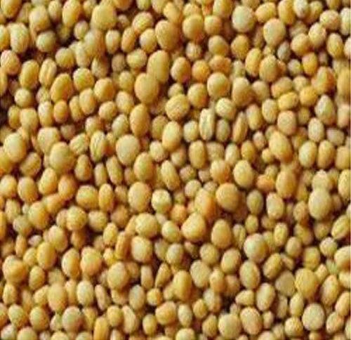 Yellow Mustard Seeds, Packaging Size: 25 kg