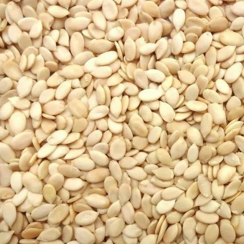 Watermelon Seeds / Magaj Beej
