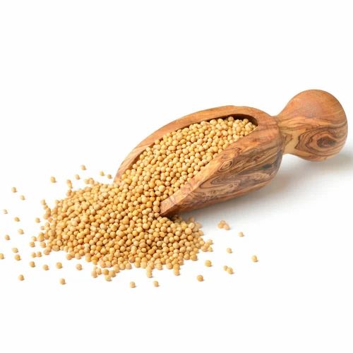Yellow Mustard Seed, Big