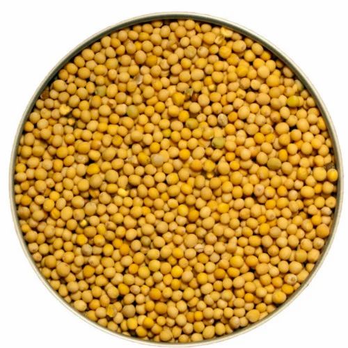 Yellow Mustard Seed Bold Sortex