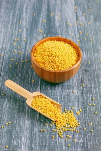 Yellow Mustard Seed Small Sortex